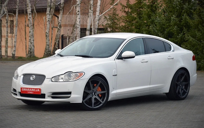 Jaguar XF cena 49900 przebieg: 219000, rok produkcji 2011 z Piwniczna-Zdrój małe 781